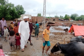 حالیہ بارش اور سیلاب نے حکومتی کارکردگی کا مکروہ چہرہ بے نقاب کر دیا ہے، علامہ مقصود ڈومکی