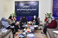 اسلام آباد، سیدہ زہرا نقوی کی زیر صدارت ایم ڈبلیوایم شعبہ خواتین کے اجلاس کا انعقاد