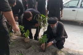 ایم ڈبلیوایم کے مرکزی وائس چیئرمین علامہ احمد اقبال رضوی نےجشن آزادی پر لاہور میں شجر کاری مہم کا آغاز کردیا