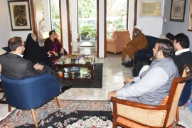 علامہ راجہ ناصر عباس کی وفاقی وزیر انسانی حقوق شیریں مزاری سے ملاقات، لاپتہ افراد کے معاملے پر تبادلہ خیال