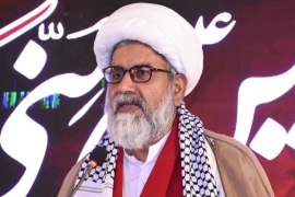 علامہ راجہ ناصرعباس جعفری نے اسرائیلی مظالم کے شکار مظلوم فلسطینی بھائیوں کیلئے قومی سطح پر بھرپور انداز میں عوامی آگاہی، رابطہ اور چندہ مہم چلانے کا اعلان کردیا