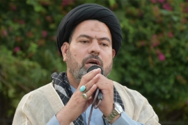 مسلمانوں کو ایک ساتھ مل کر فلسطینی مسلمانوں کی حفاظت کیلئے عملی اقدامات کرنے کی ضرورت ہے،علامہ علی اکبر کاظمی