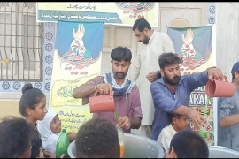 مجلس وحدت مسلمین اور امام رضاؑ فاؤنڈیشن کےاشتراک سے سبیل کا اہتمام