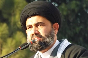 انقلاب مارچ کا سب سے بڑا ثمر شیعہ سنی اتحاد کا قائم ہونا ہے، علامہ احمد اقبال رضوی