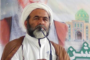 نواز شریف حکومت کے خاتمہ تک چین سے نہیں بیٹھیں گے،علامہ مختار امامی