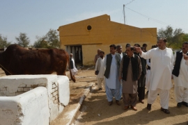بلوچستان ناڑی ماسٹر جیسے جانوروں سے نا صرف صوبہ بلکہ ملک بھر سے گوشت کی کمی کا مسئلہ ختم ہو سکتا ہے،وزیرلائیو اسٹاک آغا رضا