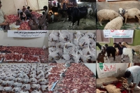 المجلس ڈیزاسٹر مینجمنٹ سیل شعبہ فلاح وبہبود مجلس وحدت مسلمین کی جانب سے ملک بھرمیں قربانی برائے مستحقین کا اہتمام، ہزاروں خاندانوں میں گوشت کی تقسیم