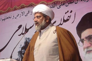 عالم اسلام میں موجودہ  بیداری انقلاب اسلامی ایران کی بدولت ہے،علامہ ناصر عباس جعفری