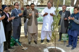 شجر کاری مہم،رواں سال بلوچستان میں 10 لاکھ سے زائد پودے لگائے جائینگے، وزیرجنگلات آغا سید محمد رضا