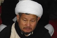 مبارک علی شان پر حملے میں ملوث دہشت گردوں کو فوری گرفتار کیا جائے،علامہ ولایت جعفری