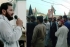 علی پور میں زائرین پر پابندی کے خلاف مجلس وحدت مسلمین کی ریلی، علمائے کرام کا خطاب