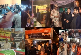 مجلس وحدت مسلمین ملک بھر میں عزاداری، عزاداراور عزاخانوں کی خدمت میں دن رات کوشاں